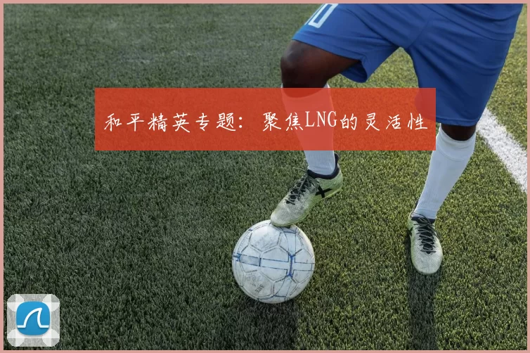 和平精英专题：聚焦LNG的灵活性