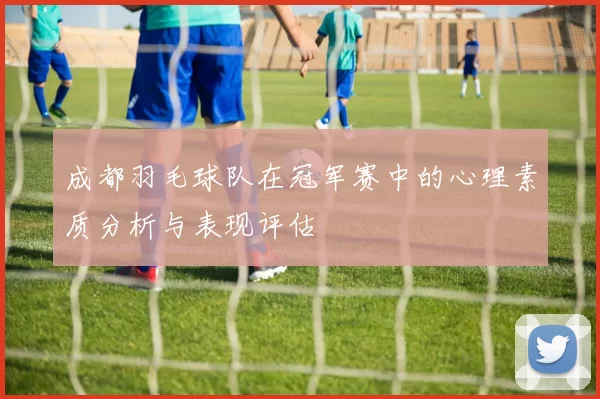 成都羽毛球队在冠军赛中的心理素质分析与表现评估