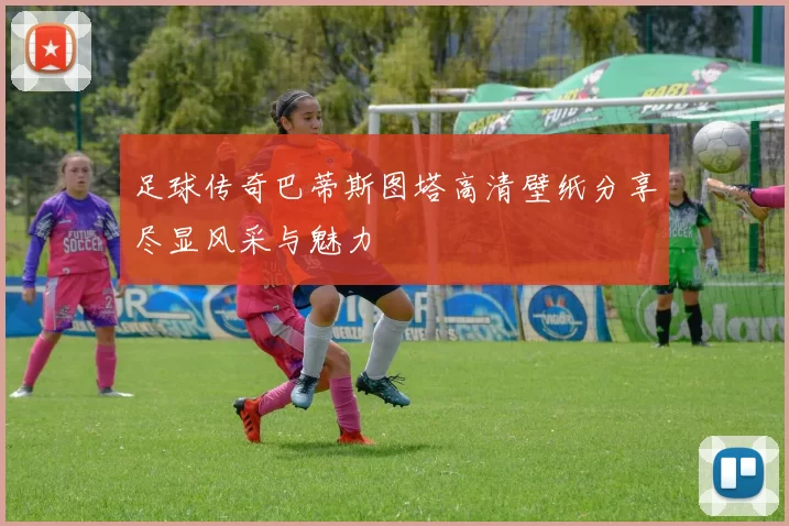 足球传奇巴蒂斯图塔高清壁纸分享尽显风采与魅力
