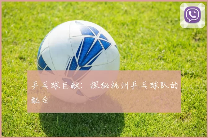 乒乓球巨献：探秘杭州乒乓球队的配合